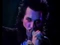 the Damned - Stranger on the Town