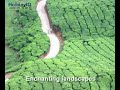 Munnar is a beautiful getaway landscaped with tea plantations, hills, lakes, forests and winding walks. Located at an altitude of 1,829 m, it is home to South India's highest peak called Anamudi, standing 2,695 m tall. It is also an important commercial centre in the Idukki district. The economy of Munnar thrives primarily from its vast tea estates and coffee plantations.