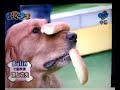 taiwan funny