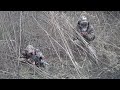Huntin coyote