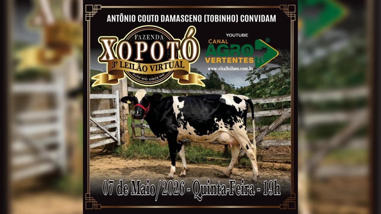 3º LEILÃO VIRTUAL FAZENDA XOPOTÓ - ANTÔNIO COUTO DAMASCENO (TOBINHO) - ALTO RIO DOCE/MG - 07/05/2026