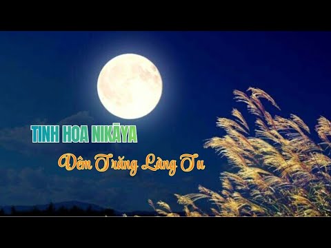 Tinh Hoa NIKAYA - Đêm Trăng Làng Tu
