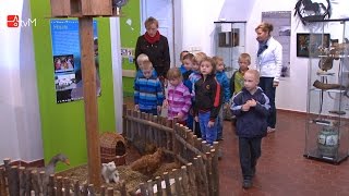 Hospodářská zvířata se zabydlela v mohelnickém muzeu