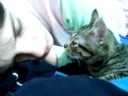 O Amor