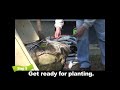 How to Plant a Tree with the Mantis Tiller