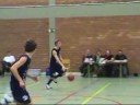 Borgerhout - Falco  11/10/08