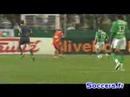 st etienne-le mans 32emes journee 2007/2008 5emes but