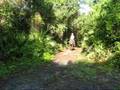 Back Trail Ride