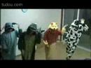 real-band-tell-me-no-debute.html