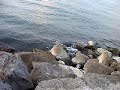 Malecón (Escolleras) de Cd. Madero, Tamaulipas.