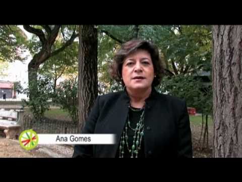 Ver Vídeo
