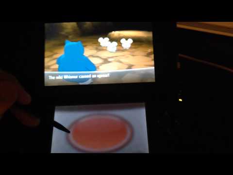 how to get honey in pokemon y