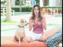 videos de Simone Abravanel - Coisa de Amigo, pgm 1, parte 2