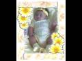 videos de ALLISON NAILEA