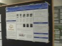 17th Evergreen international phage conference