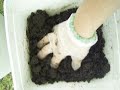A worm farm A worm farm