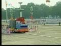 Parade on the 60th Anniversary of Vietnam (p6)