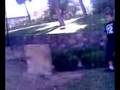parkour y trick _seminario