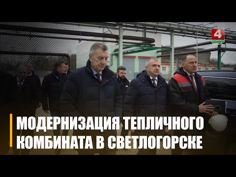 Обещали возвести новые. Под Светлогорском снесли теплицы видео
