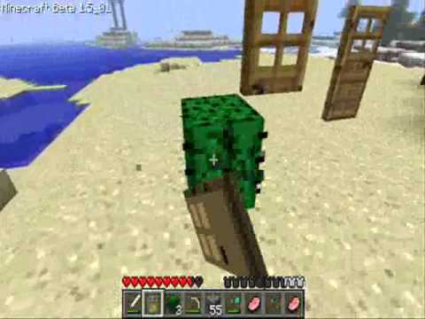 how to make a door in minecraft sp