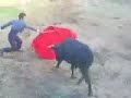 CORRALEJAS EN TRUJILLO VALLE
