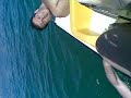 La medusa