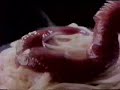 Comercial de Salsa de Tomate Heinz 1988