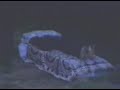 Search Video