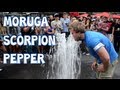 Eating The World's Hottest Pepper (Moruga Scorpion)
