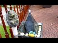Panasonic lumix FZ38 Test Video