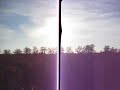 salcey forest view