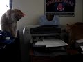 The Printer
