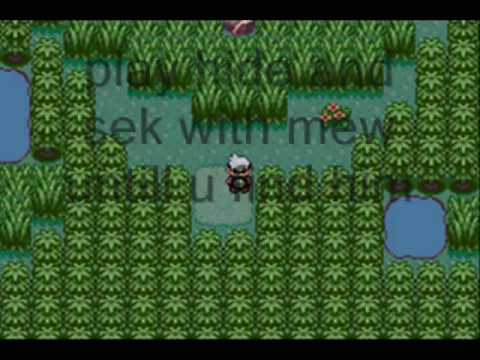 Gameshark 5 Wood How To Use Gameshark For Ps2 How To Use Gameshark For Ps2 Morris Pokemon Ruby Destiny Gameshark Codes Pokemon Ruby Destiny Gameshark Codes Ortiz Warioland 4 Gameshark Power 2 Warioland 4 Gameshark Power 2 Brooks