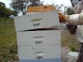 Test 2