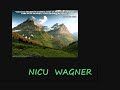 NICU WAGNER   O calator o suflet  .