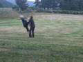 pirouette