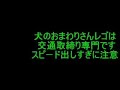 交通取締情報