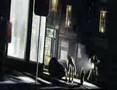 clip video Billy Talent Black Betty (TMNT)