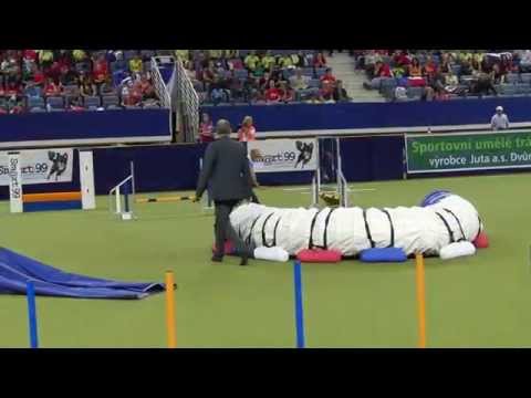 agility - Agility World Championship 2012 FAIL & FUN MOVIE www.DogSports.cz www.facebook.com/dogsportsvideos.