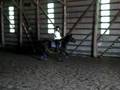 My first lesson on my new horse!!!