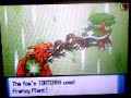 WIFI Battle 1 SuperBlueFalco VS GreenFeraligatr Part 1