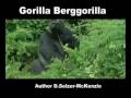 Gorilla Berggorilla Mountaingorilla Tiere Animals Natur SelMcKenzie Selzer-McKenzie