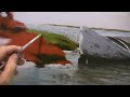 Beached Whaler 16