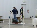Roxanne's second Agility Class
