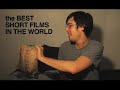 Nature, Plants, Animals: Best Short Films # 2