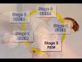 Your Sleep Cycles (Health Guru Tip) Your Sleep Cycles (Health Guru Tip)