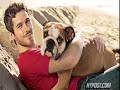 Talking Dave Annable - New York Post