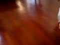 main sepak bola or playing soccer in Tretes, Indonesia
