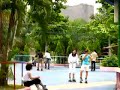 Đi Patin - Đầm Sen 2008
