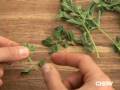 How to Strip Tough Herbs - CHOW